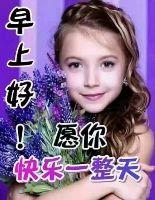 2019最新聊天表情图库太美了值得收藏传阅