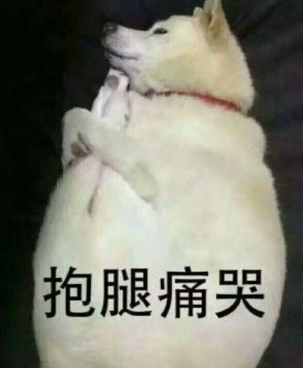 卖房子朋友圈表情包华强北