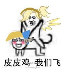 天使皮皮坐骑系列表情包皮皮猪我们走