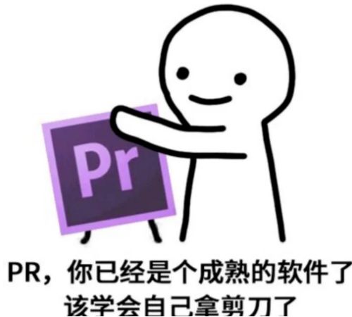 premiere教程premiere下载pr自学