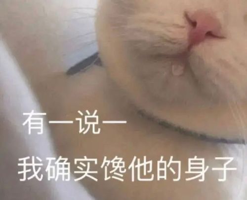 笑出猪声的神回复