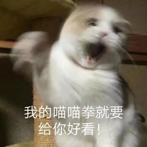 150战甲的致命太离谱,赛场人头收割机