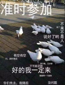 山长水阔,后会无期