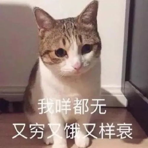 跟男票约会毛衣突然开线,结果...