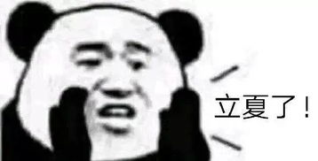我们在一起吧表情包表情