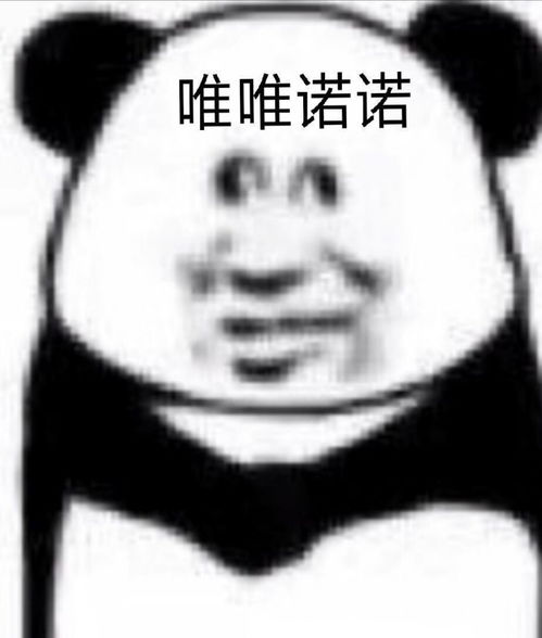 非常小众的沙雕文案,让你的朋友圈被赞爆