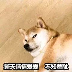 杂谈都到这里了确定不来撩一下我们吗