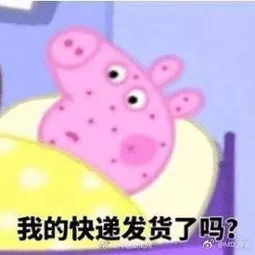 无法改地址,我的双11战利品全送前男友家了双11悲惨故事实录