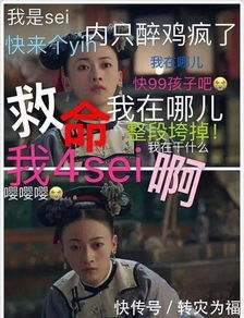 延禧攻略的段子和表情包
