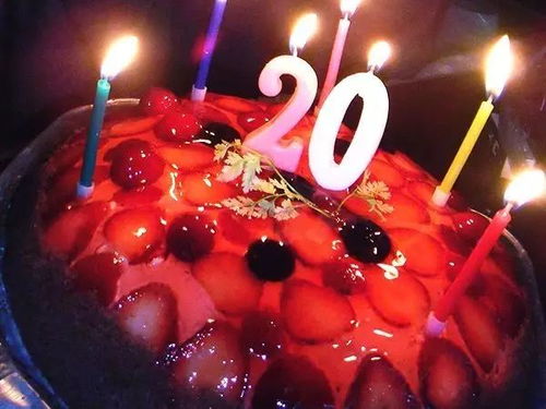 日本爸妈儿啊,20岁生日快乐该交房租了