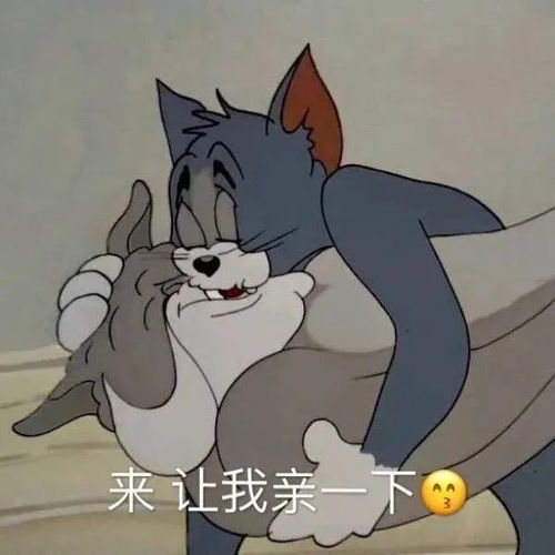 日常表情包i搞笑聊天动图小表情包