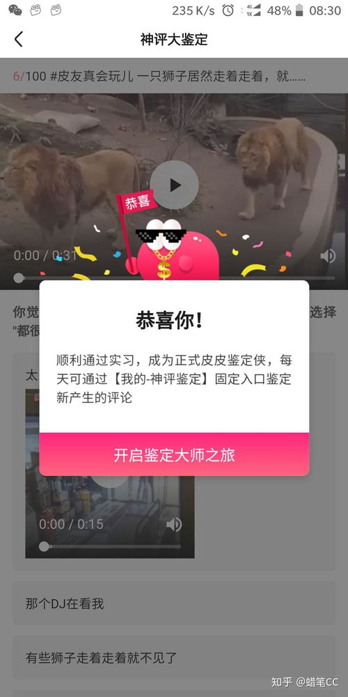 皮皮虾神评鉴定师怎么搞