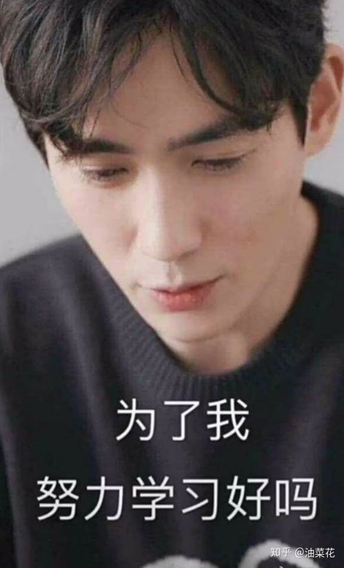 你用过的最沙雕的表情包是什么