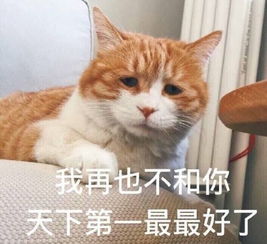 聊天斗图必备表情包