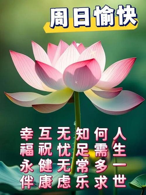 2024年6月23日农历五月十八祝福图片星期日最新问候美图周末愉快