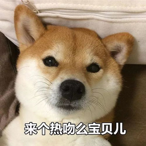 语音亲亲来一个吧