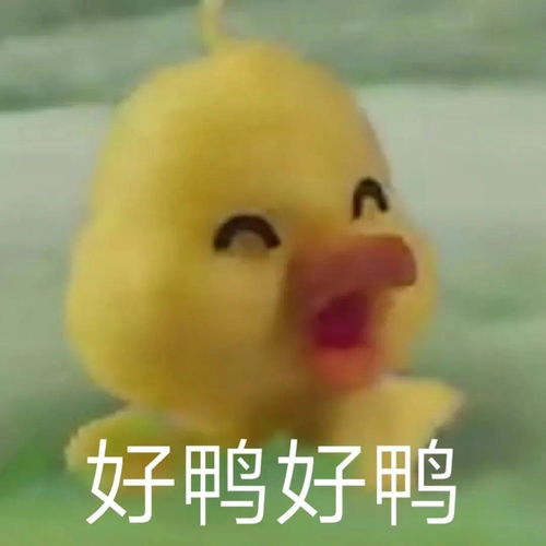 有这种小黄鸭的表情包么,谢谢