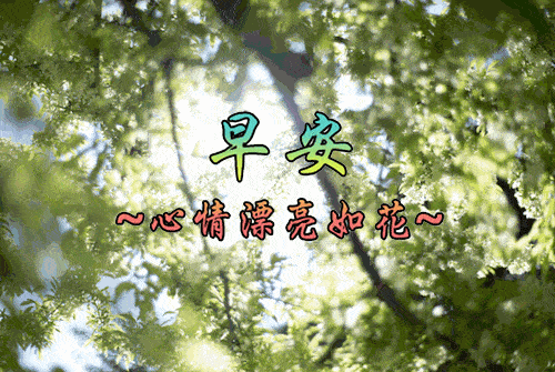 8张最新清晨早上好问候祝福动态表情鲜花图片最美早上好祝福动画美图