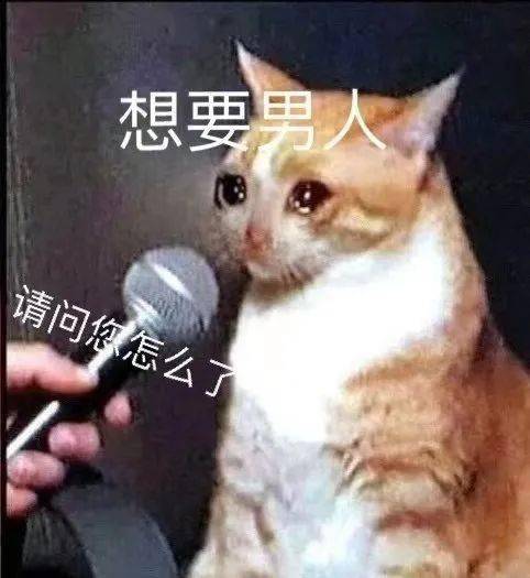 你的小可爱想要个亲亲