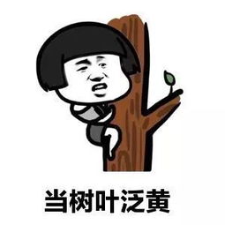 你瞅啥图片搞笑表情包搞笑段子