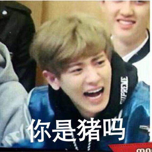 午夜dj表情包灿烈