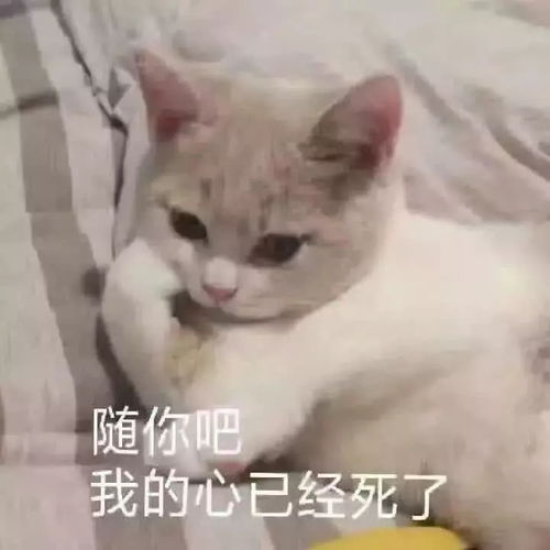 5张撩人表情包甜到爆,我爱你弱爆了,心跳加速的感觉