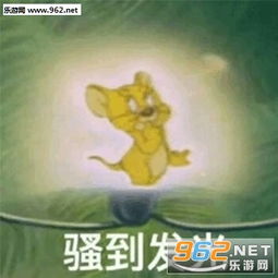 睡不捉表情包杰瑞图片认我当大哥教你梳中分表情包下载乐游网游戏下载