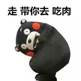 最励志的表情包这只