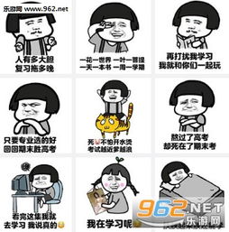 再打扰我学习我就和你们一起玩表情图片期末考试表情包合集下载...