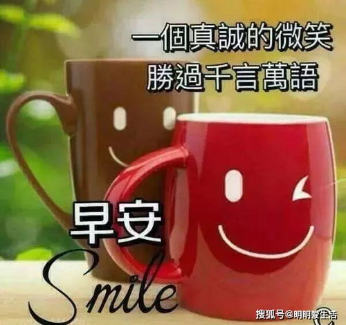 情,不在朝暮,用心珍惜,才能长久,早安