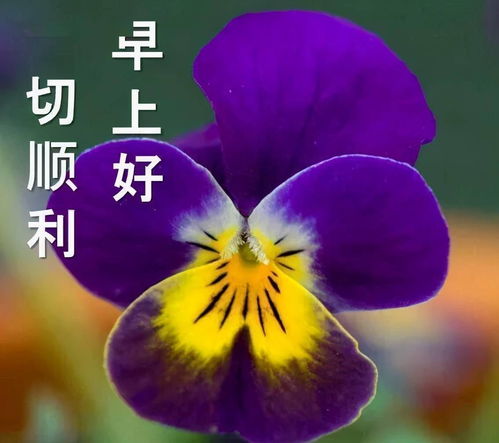 人生学会随缘,才能活得潇洒自在