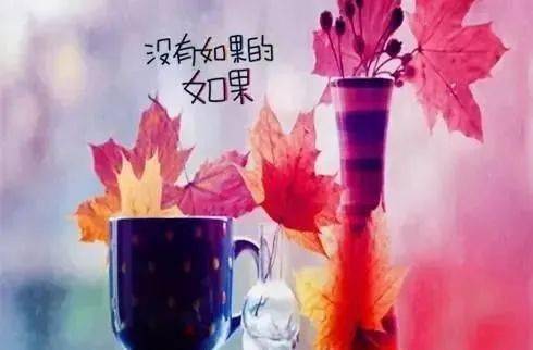 最新经典微信说说大全,总有一句触动你