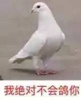 我绝对不会鸽你表情包图片完全是我的菜表情包下载乐游网游戏下载