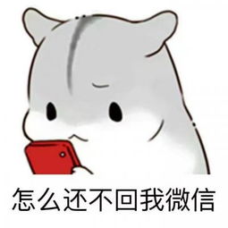 小仓鼠表情包搞笑头像图片萌萌哒有什么不懂的就吻我