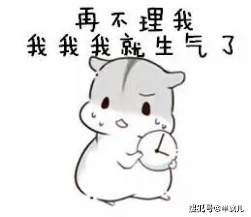 开心一笑这是哪儿的闺蜜团,怎么都那么可爱