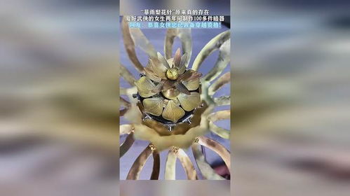 暴雨梨花针原来真的存在,爱好武侠的女生两年间制作100多件暗器,网友恭喜女侠您已具备穿越资格