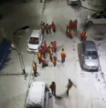 狗狗吐舌头表情包gif
