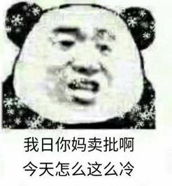 熊猫人比冷表情包下载操你妈,老子才是最冷熊猫人比冷表情包高清无水印极光下载站