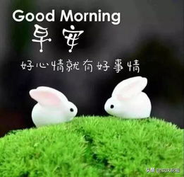情侣之间早安表情包问候语
