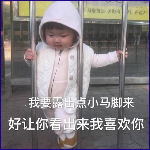 偷我表情包亲我