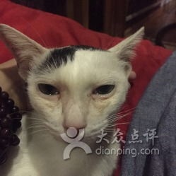 喵园电话,地址南宁