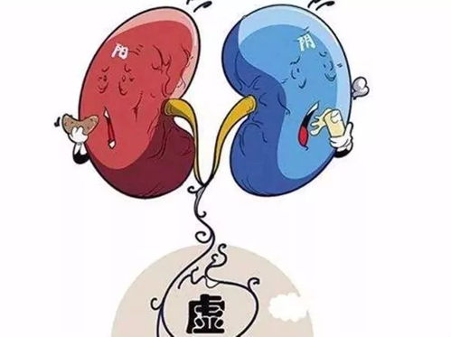 肾虚图片表情包阳气