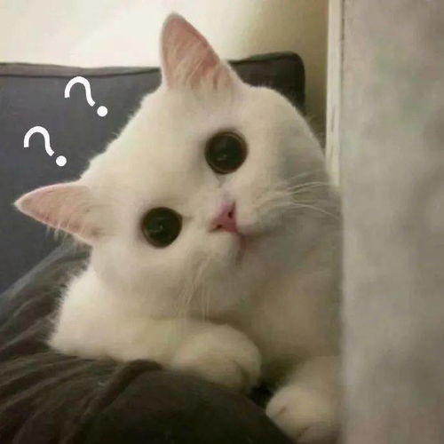 一组沙雕问号表情包