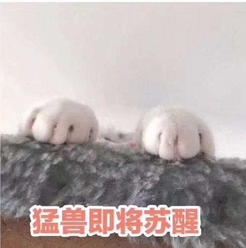 你大学最难过的一个瞬间是什么