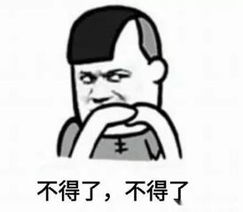 不要不要的表情包搞笑阿姨