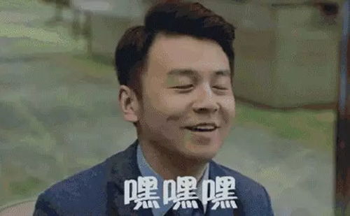 不要不要的表情包搞笑广东新闻频道