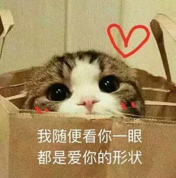 吃土少女的平价面膜大推荐,你的梳妆台上有ta吗