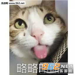 略略略图片略略略表情包下载乐游网游戏下载