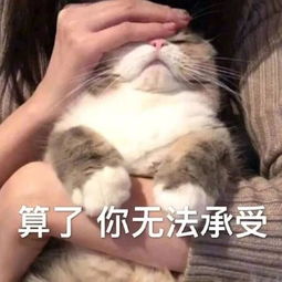 双11一小时1000亿,电商凭这能干掉实体吗