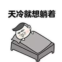 2017第一猛料李冰冰脱单宁波第一股冷空气来了还有5件大事等着你